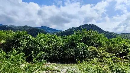  عکس جاده شمال