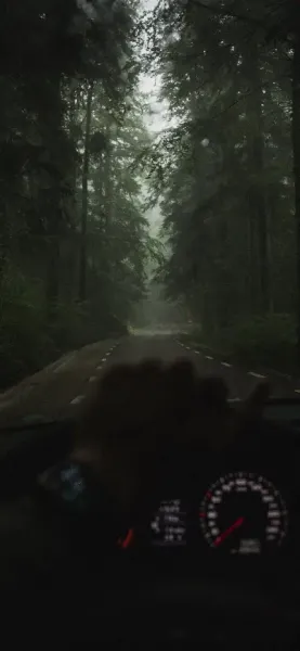  عکس جاده شمال