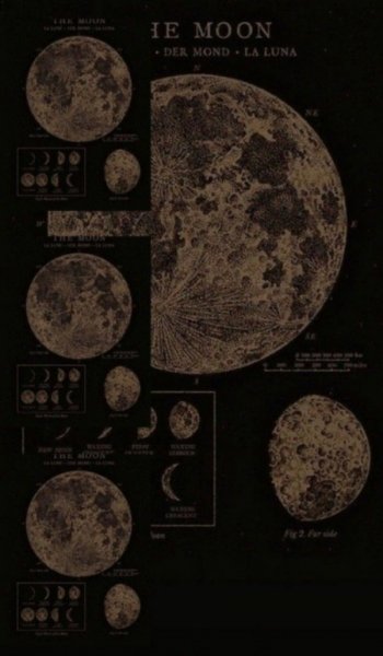  عکس های والپیپر کارتونی