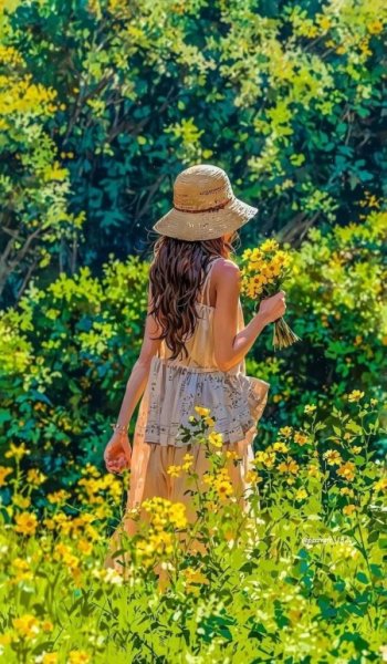  547 عکس های پس زمینه عاشقانه