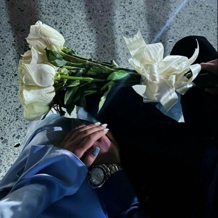  547 عکس های پس زمینه عاشقانه