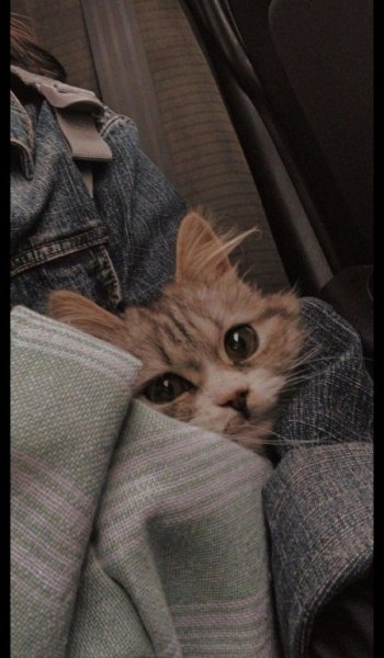  عکس های خاص