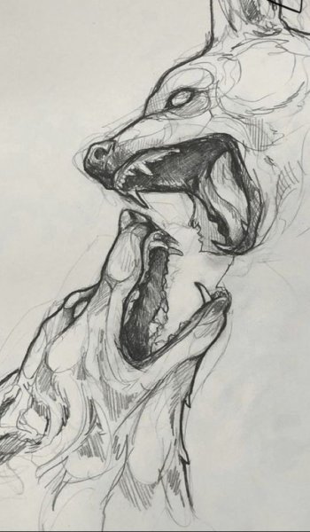  عکس های طراحی سیاه قلم