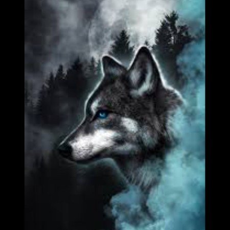  عکس گرگ