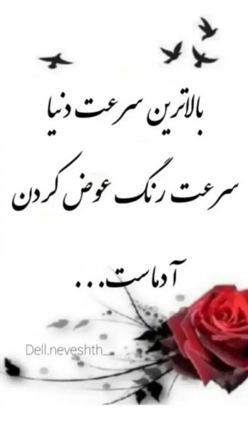  عکس های دل نوشته