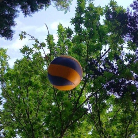  عکس های والیبال