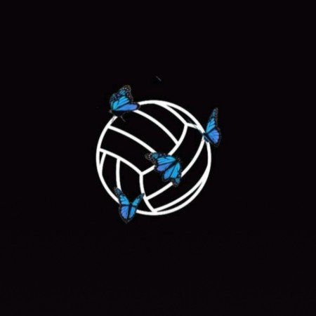  عکس های والیبال