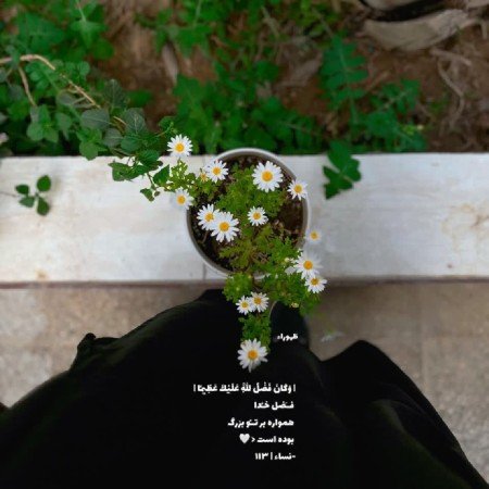  عکس های کوروش