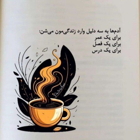  عکس نوشته کنایه‌آمیز