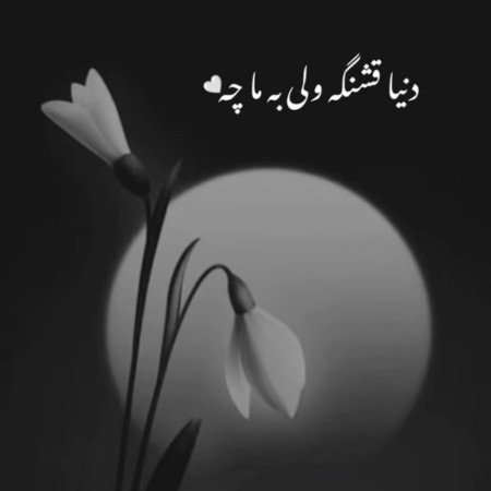  عکس نوشته کنایه‌آمیز