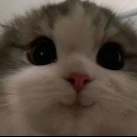  عکس های مو فرفری