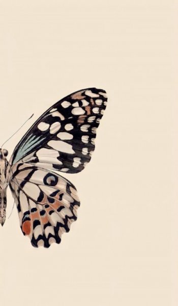  عکس دوستانه