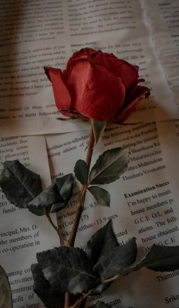  عکس های گیتار دخترونه