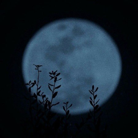  عکس برای دیوار اتاق خواب