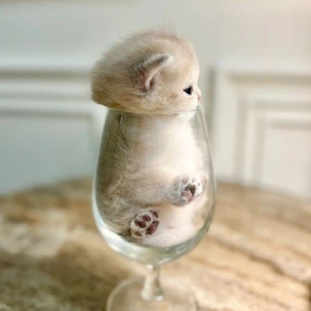  نقاشی دارک پینترست دختر