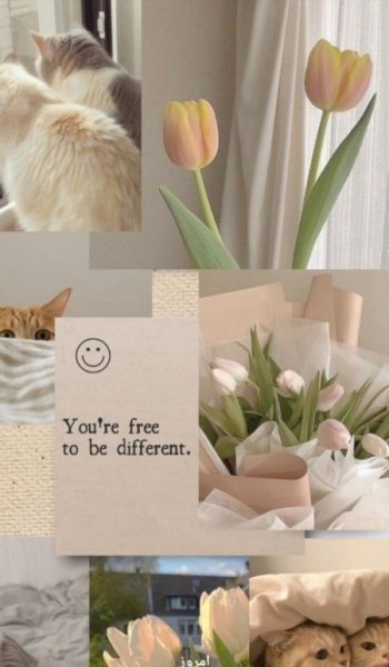  200 عکس پروفایل دخترونه خفن