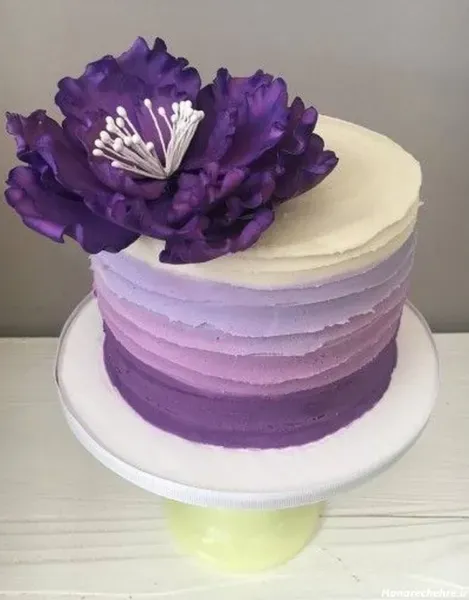  عکس کیک پاپیونی بنفش