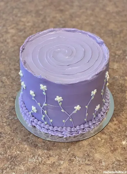  عکس کیک پاپیونی بنفش