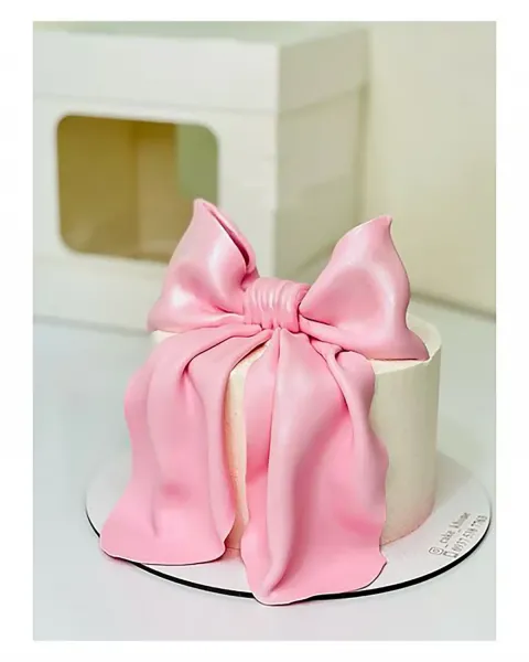  عکس کیک پاپیونی