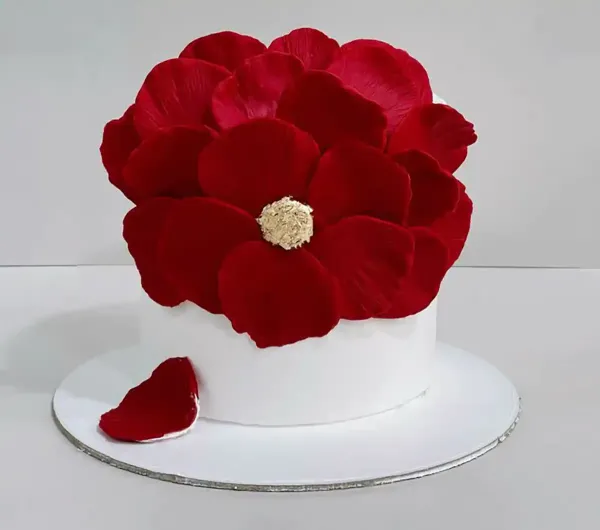  کیک پاپیونی ترند آبی