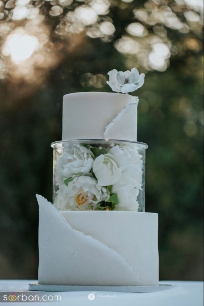  عکس کیک ترند عروسی