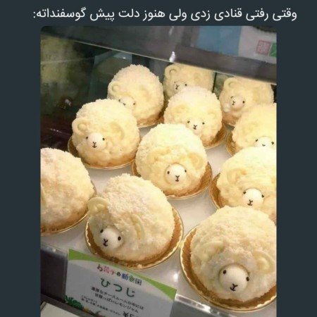  عکس خوراکی های ترند تیک تاک