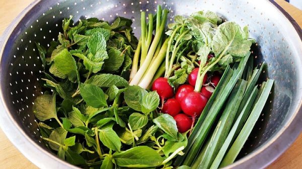  عکس خوراکی های ترند ایرانی