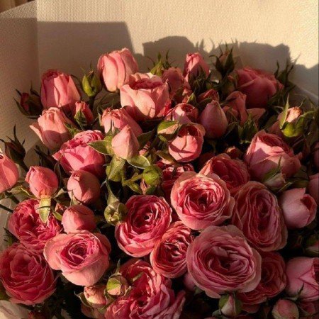  عکس دسته گل