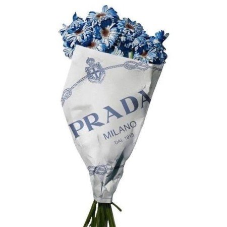  عکس دسته گل