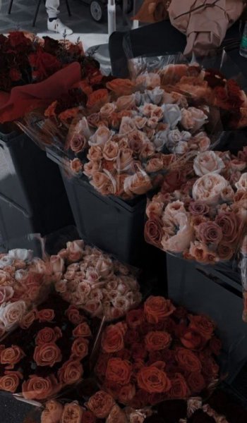  عکس دسته گل