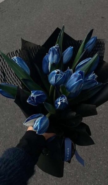  عکس دسته گل