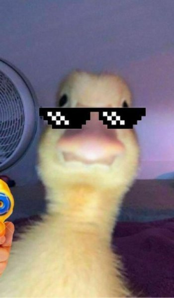  عکس عروسک قدیمی نوستالژی