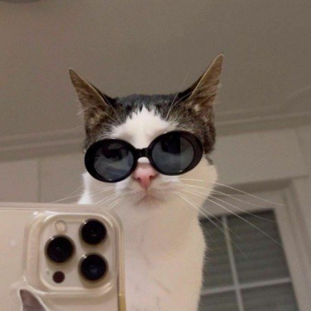  عکس پروفایل خفن لاکچری