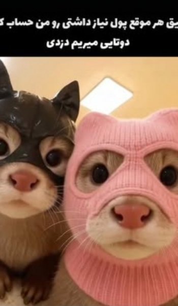  عکس های ترند دوستانه