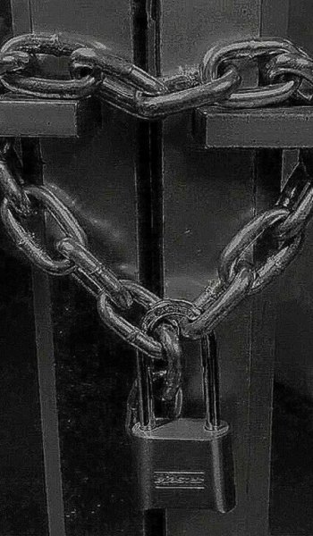  عکس های ضربان قلب