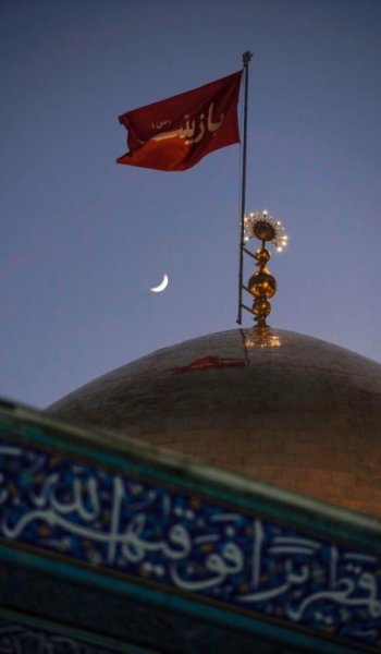  عکس های ضربان قلب