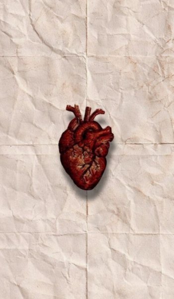  عکس قلب