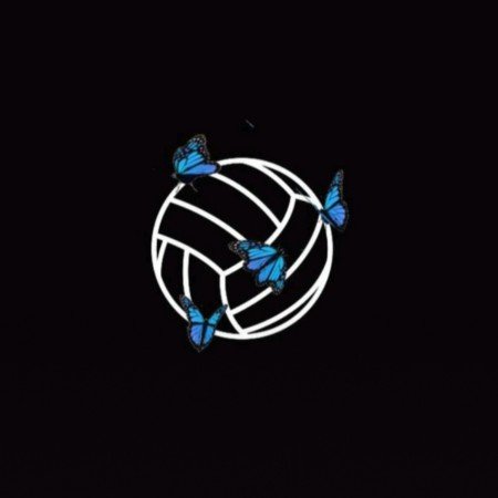  عکس های ال استار