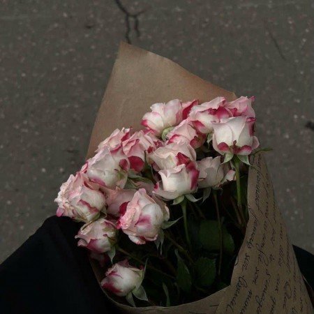  عکس های ال استار