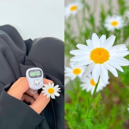  عکس های ال استار