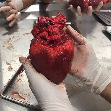  عکس های روز مادر