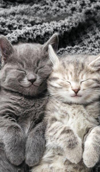  عکس های بک گراند