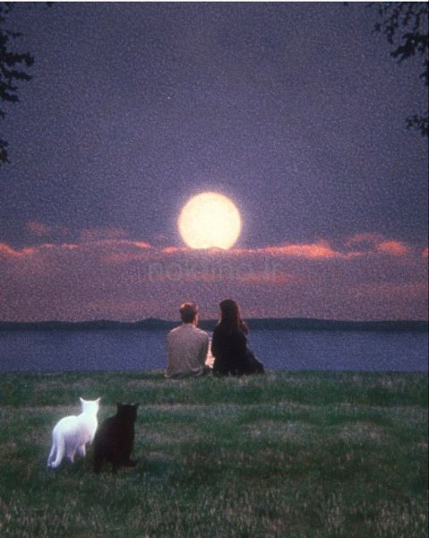  عکس های ترند دو نفره