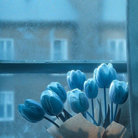  عکس گل لاله