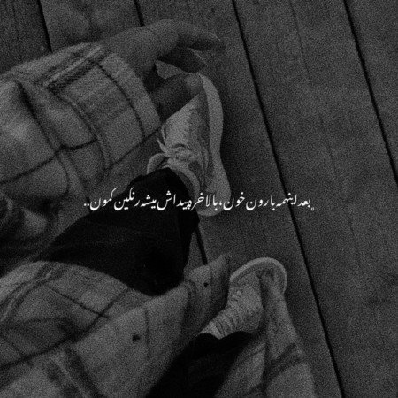  عکس گل لاله