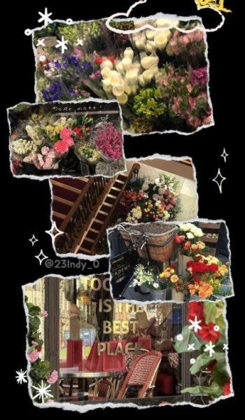  عکس گل لاله