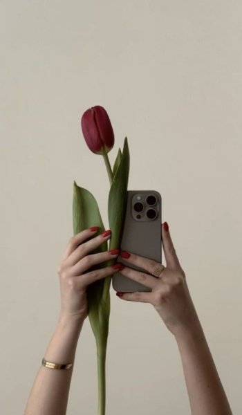  عکس گل لاله