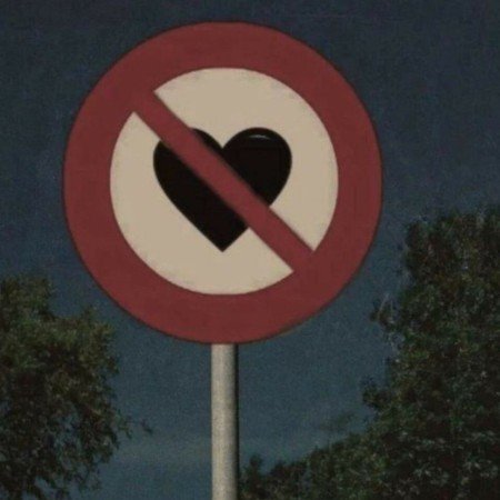  بهترین عکس سال ۲۰۲۵