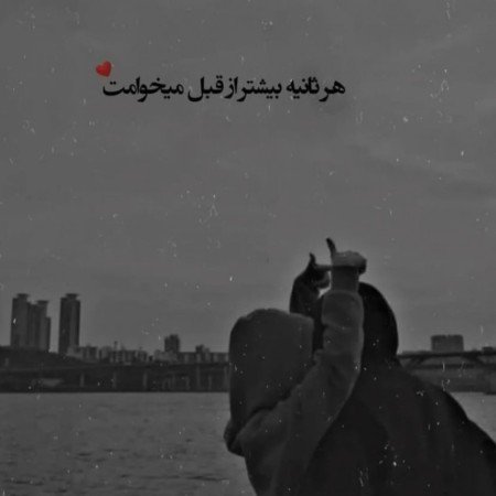  بهترین عکس سال ۲۰۲۵