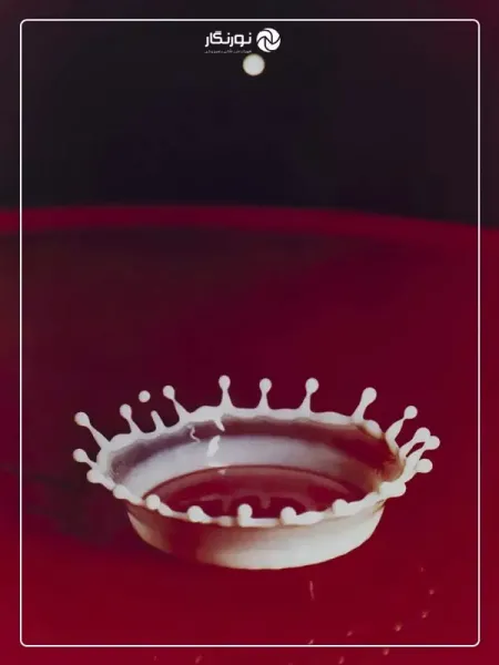  عکس های معروف جهان